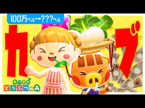 【神回】100万ベルを"カブ"にかける🌱🌱🌱※通信なし縛り【あつ森 | お金稼ぎ】