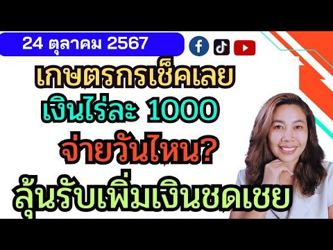 ไร่ละ1000มาแน่!จ่ายได้วันไห