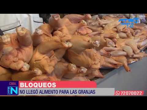 Crisis en Cochabamba: Productores avícolas afectados por el cierre de carreteras