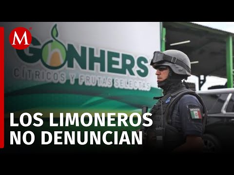 Guadalupe Mora afirma que 'Los Viagras' están detrás de extorsiones a limoneros en Tierra Caliente