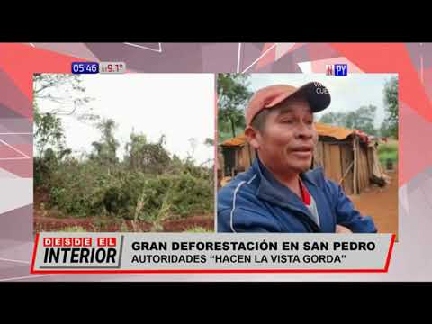 Denuncian deforestación en San Pedro