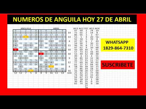 NUMEROS DE ANGUILA HOY 27  DE ABRIL MR TABLA