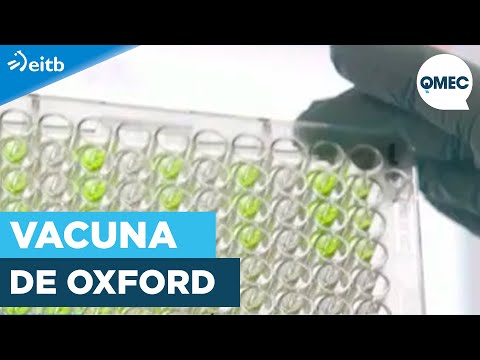 Vacuna de Oxford: ¿En cuántas personas se ha probado ¿Es totalmente segura