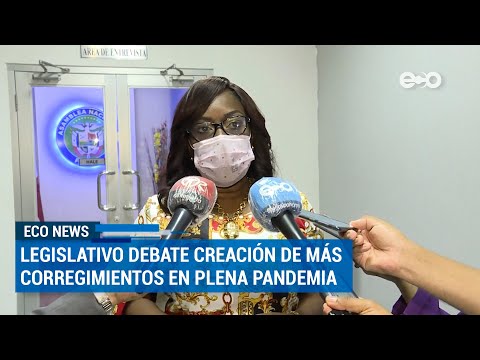 Legislativo debatió creación de más corregimientos en plena pandemia | ECO News