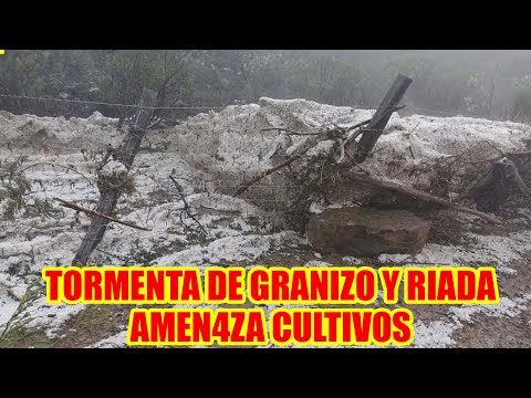 ESPERABAN LLUVIA Y SE PRECEPITÓ TREMENDA TORMENTA DE GRANIZO Y RIADA..
