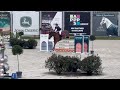 Show jumping horse Keep calm Chavannais