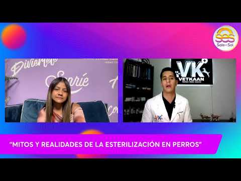 EN VIVO I  Alan Rodríguez - Mitos y realidades de la esterilización de perros I Sale El Sol Live