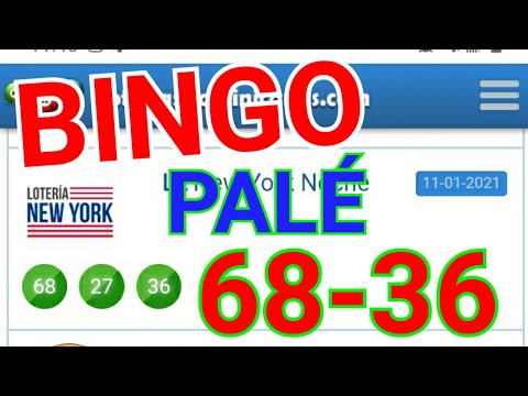 EL de HOY...!! PALÉ 68-36 /BINGO loteria NEW YORK NOCHE...!! GANAR LAS LOTERIAS MAS PARA HOY..!!
