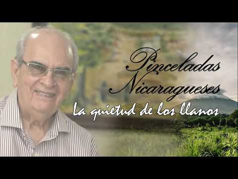 Pinceladas Nicaragüenses - La quietud de los llanos