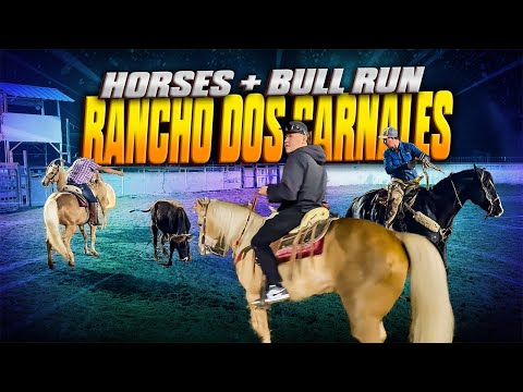 RANCHO DOS CARNALES!