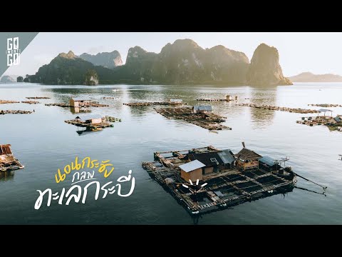 นอนกระชังกลางทะเล-1250-บาท นอนกระชังกลางทะเล-1250-บาท
