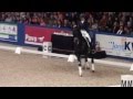 Dressuurpaard Indian Rock x Netto (Negro) x Lord Leatherdale INCL VIDEO