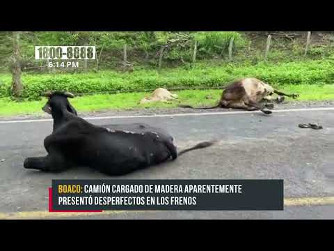 Vuelco de rastra mata a 4 semovientes en Camoapa - Nicaragua
