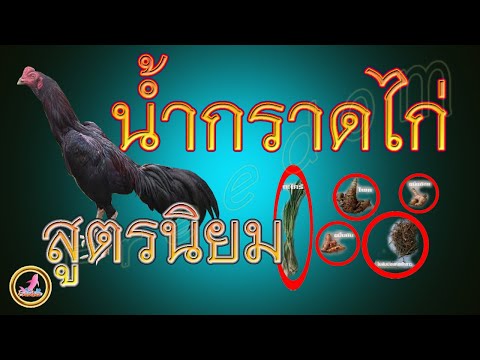 เที่ยวไปเรื่อย สไตล์เรา การทำน้ำอาบไก่และประโยชน์ของการกราดแดด...!!!