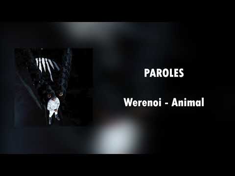 Werenoi - Animal | Paroles