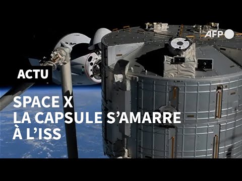 La capsule Crew Dragon Endeavour de SpaceX s'amarre à l'ISS | AFP Images
