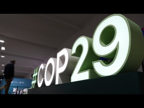 COP29: What should be the focus of the UN climate summit?