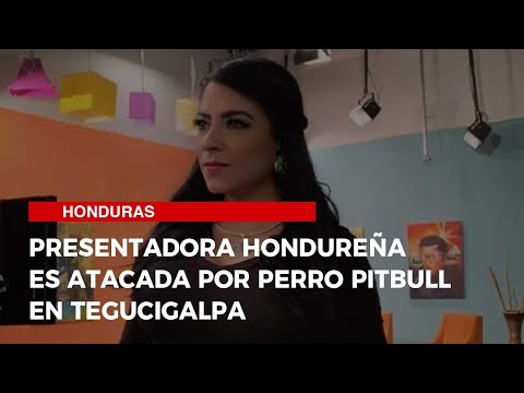Presentadora hondureña es atacada por perro pitbull en Tegucigalpa