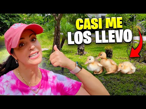 QUIERO Unos PATICOS YA!!!!  Hoy Limpiamos el Bosque de la Finquita Bonita  Sandra Cires Vlog