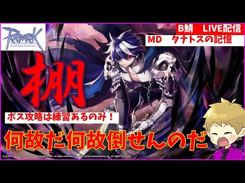 【RO】HJが変わったらしいので確かめたいRO２年生【ラグナロクオンライン】