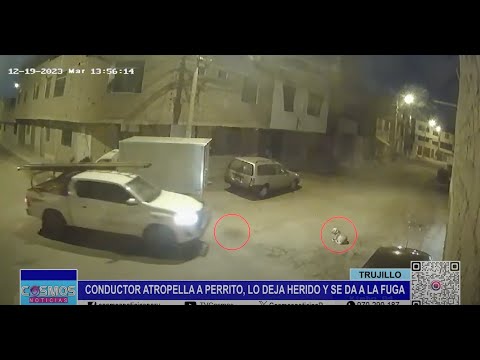 Trujillo: conductor atropella a can, lo deja herido y se da a la fuga