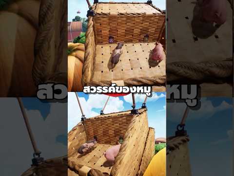 สวรรค์ของหมูความลับในเกมSpli