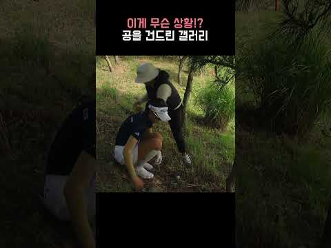죄송해요.. 경기 중에 공을 건드린 갤러리?