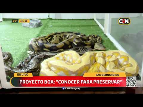 Proyecto Boa: Conocemos 6 especies