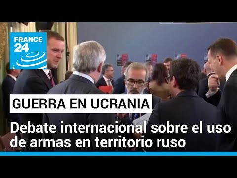 Ucrania y las armas occidentales contra Rusia: un tema que divide a la OTAN