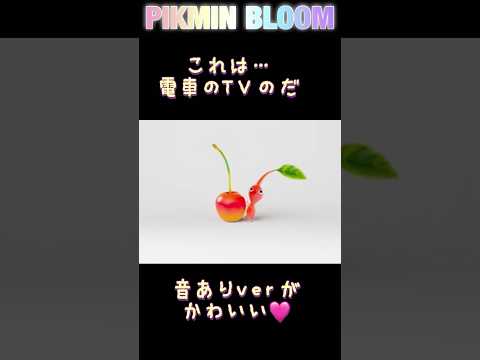 【音ありver】ピクミンさんたちの声に癒される🩷 #pikmin #pikminbloom