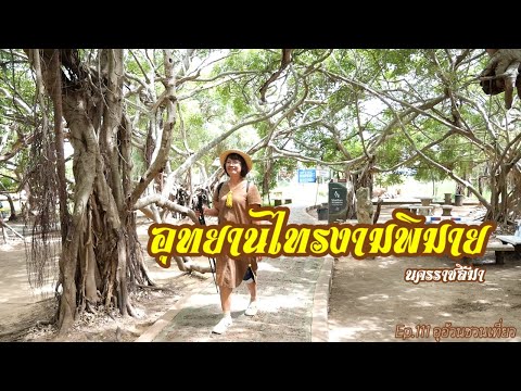 อุทยานไทรงามพิมายความงดงามของ