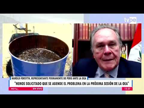 Noticias Tarde | Harold Forsyth, embajador del Perú ante la OEA