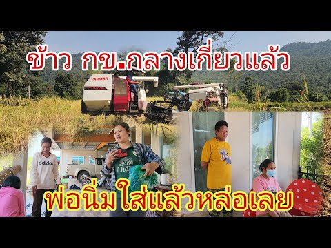 ทุกคนตื่นเต้นได้ใส่เสื้อดังหมู