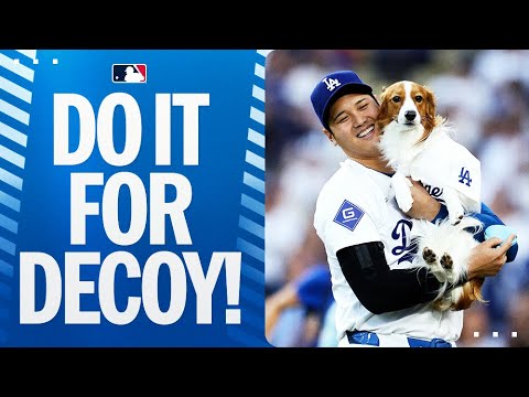 Shohei Ohtani homers on Shohei/Decoy bobblehead night! | 大谷翔平ハイライト