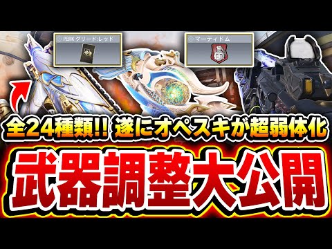 【全24種類】大注目!遂に害悪テンペスト&ミスディレが弱体化!次シーズンの武器調整内容がこちら!【CODモバイル】