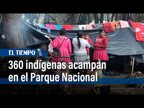 360 indígenas acampan en el Parque Nacional | El Tiempo