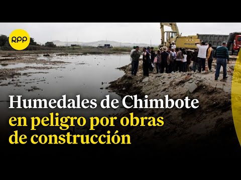 Humedales de Chimbote en peligro por construcción de trocha carrozable en base naval