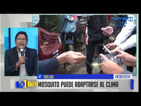 Se registran 491 casos nuevos de dengue en Cochabamba