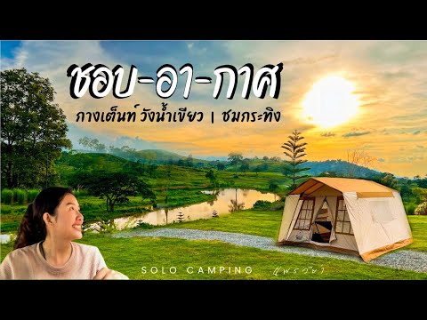 สูดโอโซนกางเต็นท์เห็นกระทิง