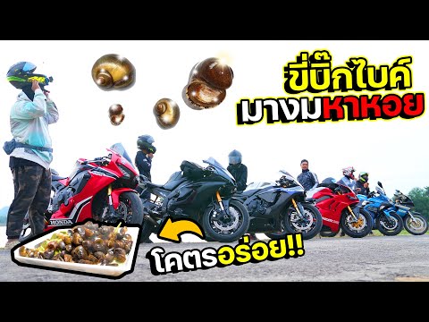 ออกทริปบิ๊กไบค์…ไปงมหาหอยในเขื ออกทริปบิ๊กไบค์…ไปงมหาหอยในเขื