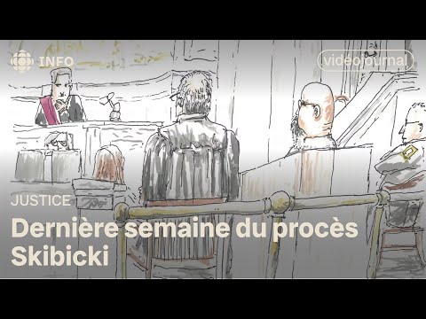 Témoignages sur la santé mental au procès Skibicki | Vidéojournal