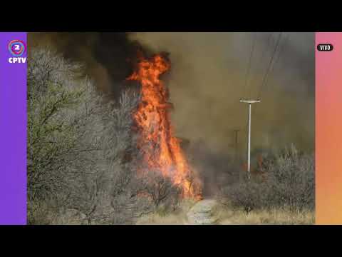 INCENDIOS FORESTALES EN EL NORTE DE PUNILLA