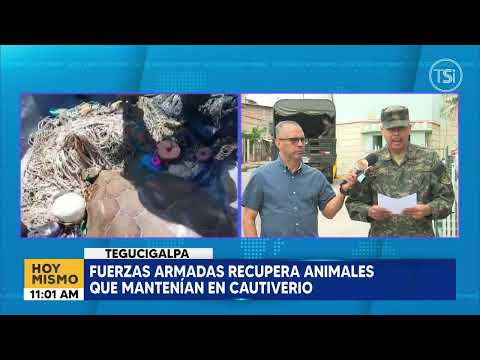 Fuerzas Armadas recupera animales que mantenían en cautiverio