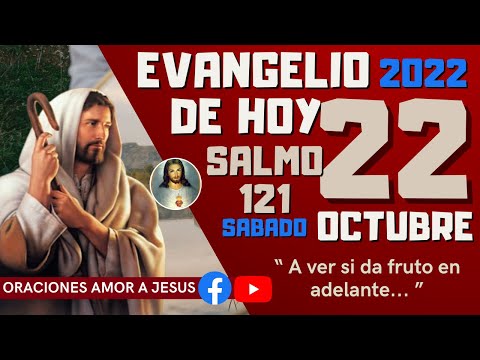 Evangelio de Hoy Sábado 22 de Octubre 2022 SALMO 121 “ A ver si da fruto en adelante... ”