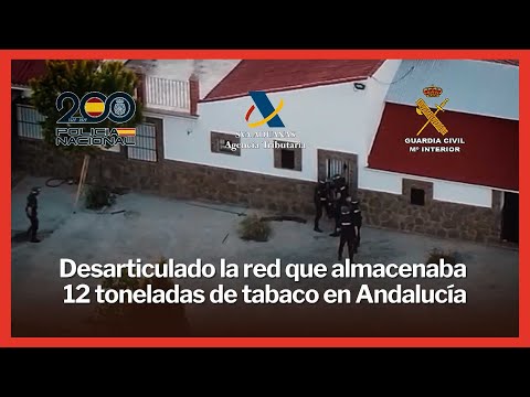 24 detenidos en Málaga y Sevilla por contrabando de tabaco que defraudó más de 2 millones de euros