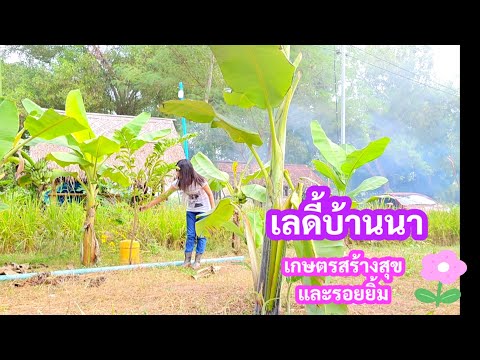 เกษตรสร้างสุข​บ้านสวนพอเพียง​