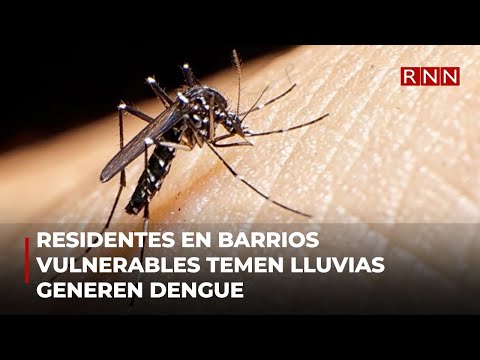 Residentes en barrios vulnerables temen lluvias generen Dengue.