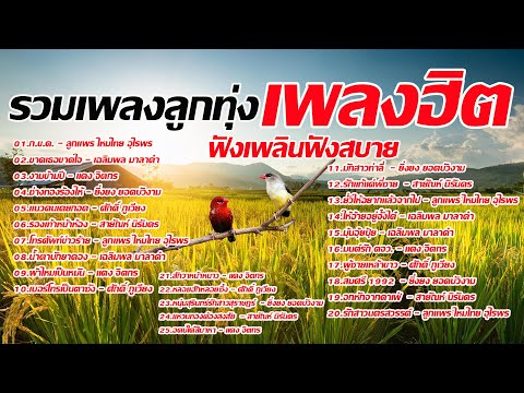 รวมเพลงลูกทุ่งเพลงฮิตฟังเพลินส