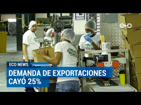 Demanda de exportaciones panameñas cayó en 25% por crisis sanitaria | ECO News