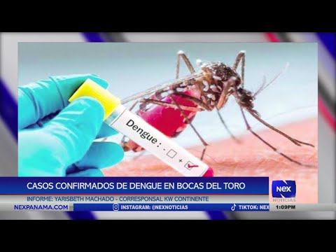 Casos confirmados de dengue en Bocas del Toro